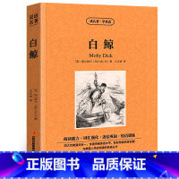 [正版]白鲸中英文双语版梅尔维尔原著读名著学英语英汉对照经典世界名著外国文学长篇小说英文版原版英语读物初中高中生课外阅