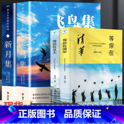 [共4册]飞鸟集+新月集+等你在清华北大 [正版]飞鸟集泰戈尔诗选双语全2册 飞鸟集+新月集英汉对照双语版 生如夏花泰戈