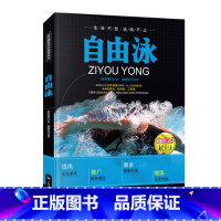 [正版]图解自游泳入门书籍 蛙泳自由泳仰泳蝶泳腿部手臂分解动作详解书籍 竞赛游泳技术书籍 踩水入门零基础实用游泳技术教