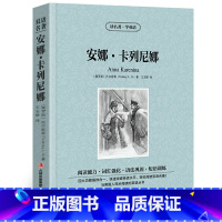 [正版]安娜卡列尼娜中英双语版列夫托尔斯泰原著读名著学英语英汉对照经典世界名著外国文学长篇小说英文英语读物初中高中生课