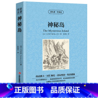 [正版]神秘岛中英文双语版凡尔纳儒勒原著读名著学英语英汉对照经典世界名著外国文学长篇小说英文版原版英语读物初中高中生课