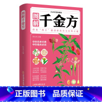 [正版]图解千金方白话彩图典藏版孙思邈原著完整无删减千金药方中医基础理论医学本草养生千金方药翼方千金方中医入门书籍