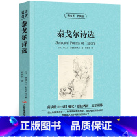 [正版]泰戈尔诗集选中英文双语版飞鸟集泰戈尔原著读名著学英语英汉对照世界名著外国文学长篇小说英文版英语读物初中高中生课