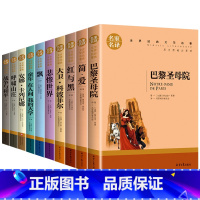 [全10册]世界十大名著 [正版]世界十大名著全套10册巴黎圣母院简爱复活傲慢与偏见飘红与黑瓦尔登湖悲惨世界呼啸山庄无删