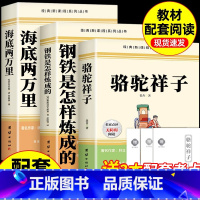 [全3册]骆驼祥子+钢铁是怎样炼成的+海底两万里(赠考点) [正版]骆驼祥子和钢铁是怎样炼成的七年级必读海底两万里原著完