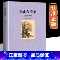 普希金诗集 [正版]普希金诗选原著普希金诗集珍藏外国名著普希金的诗世界经典文学书籍外国文学诗歌中文全译本原版原著全译本
