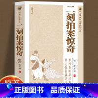 [正版]原著无删减二刻拍案惊奇凌濛初著中国古典小说明末通俗小说中国古代白话短篇小说国学精粹经典名著原国学经典书籍书