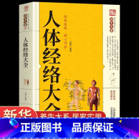 [正版]人体经络大全穴位图解手法经络穴位快速记忆全身经络书籍大全零基础入门学会手法筋络经络图册使用手册常见病中医养生畅