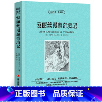 [正版]爱丽丝漫游奇境记中英文双语版卡罗尔原著英汉对照中英文经典世界名著外国文学长篇小说英文版原版英语读物初中高中生课