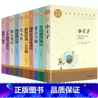 世界十大名著[全10册] [正版]世界十大名著全套10册假如给我三天光明书原著小学生版海伦凯勒鲁滨逊漂流记完整版老人与海