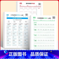 [三年级上册]英语默写纸+练习纸+听写纸(全3册) [正版]小学生英语默写纸手撕字帖人教版三四五六年级上下册四线三格汉英