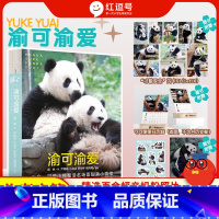 渝可渝爱 [正版]渝可渝爱蒋林著可爱熊猫整活名场面花花萌兰香香成长记录叠猫猫海报+古灵精怪贴纸+才貌双全闪卡爱小熊猫整活