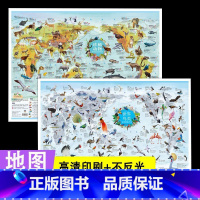[正版]全2张 珍稀动物地图+世界鸟类地图2024版小尺寸学生儿童房地图挂图高清地图墙贴初中小学生地图百科知识地图背景