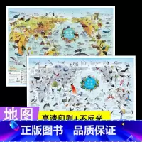 [正版]全2张 珍稀动物地图+世界鸟类地图2024版小尺寸学生儿童房地图挂图高清地图墙贴初中小学生地图百科知识地图背景