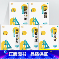 [全5册]八年级下册数学专项训练 八年级下 [正版]八年级下册数学专项训练人教版数据的分析平行四边形一次函数二次根式勾股
