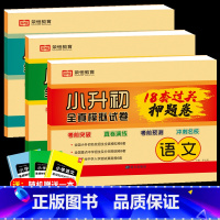 [2024新版 含真题]小升初真题模拟卷+小学毕业总复习6册 小学升初中 [正版]2025新版小升初真题卷押题卷必刷18