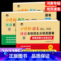 [河南专版]语文+数学+英语 小学升初中 [正版]2023新版河南名校招生分班真题卷38套六年级下册语文数学英语小升初真