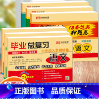 [全6册]小升初试卷+必刷押题卷 小学升初中 [正版]2025新版小学毕业总复习语文数学英语小升初入学测试卷人教版小学生