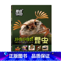 [单册]好怪好怪的昆虫 [正版]暴读百科全3册好多好多的动物好怪的昆虫好大好大的宇宙儿童启蒙趣味百科知识全书少儿绘本阅读