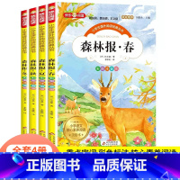 [彩图注音版]森林报(全4册) [正版]小学生注音版森林报春夏秋冬全四册完整一二三四年级上册阅读课外书读物儿童文学昆虫记
