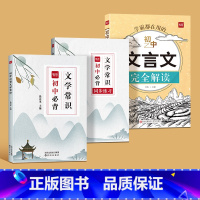 初中文学常识大全+文言文完全解读 初中通用 [正版]易蓓初中必背文学常识七八九年级课内外阅读考点习题练习本中国古代文化常