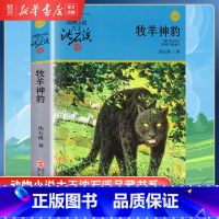 [正版]书店牧羊神豹 升级版 动物小说大王沈石溪品藏书系 小学三四五六年级课外阅读书籍动物小说 浙江少年儿童出版社