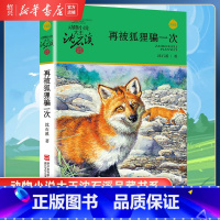 [正版]书店再被狐狸骗一次 升级版 动物小说大王沈石溪品藏书系 小学三四五六年级课外阅读书籍动物小说 浙江少年儿童出版
