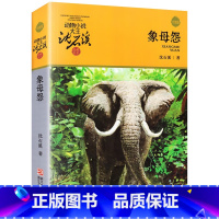 象母怨 [正版]书店象母怨 升级版 动物小说大王沈石溪品藏书系 小学三四五六年级课外阅读书籍动物小说 浙江少年儿童出版社