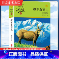 疯羊血顶儿 [正版]书店疯羊血顶儿 升级版 动物小说大王沈石溪品藏书系 小学三四五六年级课外阅读书籍动物小说 浙江少年儿