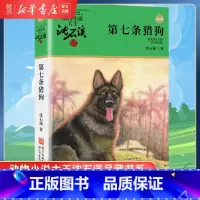 [正版]书店第七条猎狗 升级版 动物小说大王沈石溪品藏书系 小学三四五六年级课外阅读书籍动物小说 浙江少年儿童出版社