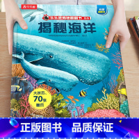 1.揭秘海洋 [正版]揭秘翻翻书系列任选揭秘建筑3-12岁以上太空海洋恐龙人体汽车火车飞机绘本3d立体科普百科全书小学生