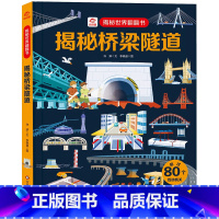 揭秘桥梁隧道 [正版]书店揭秘世界系列儿童翻翻书3-6岁启蒙绘本洞洞书3d立体书揭秘夜晚健康建筑病毒细菌大树火山工厂发明