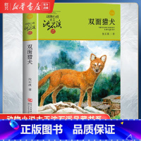 [正版]书店双面猎犬 升级版 动物小说大王沈石溪品藏书系 小学三四五六年级课外阅读书籍动物小说 浙江少年儿童出版社