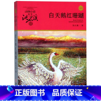 白天鹅红珊瑚(升级版)/动物小说大王沈石溪品藏书系 [正版]白天鹅红珊瑚(升级版)/动物小说大王沈石溪品藏书系
