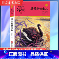 [正版]书店黑天鹅紫水晶 升级版 动物小说大王沈石溪品藏书系 小学三四五六年级课外阅读书籍动物小说 浙江少年儿童出版社