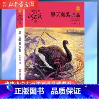 [正版]书店黑天鹅紫水晶 升级版 动物小说大王沈石溪品藏书系 小学三四五六年级课外阅读书籍动物小说 浙江少年儿童出版社