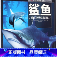 鲨鱼(海洋悍将探秘经典普及版)/UTOP权威探秘百科 [正版]鲨鱼(海洋悍将探秘经典普及版)/权威探秘百科