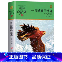 一只猎雕的遭遇 [正版]书店一只猎雕的遭遇 升级版 动物小说大王沈石溪品藏书系 小学三四五六年级课外阅读书籍动物小说 浙