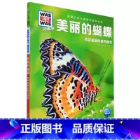 美丽的蝴蝶 [正版]美丽的蝴蝶