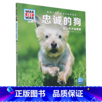 忠诚的狗 [正版]忠诚的狗