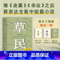 草民 [正版]书店草民 百万书作家蔡崇达继散文集 皮囊 长篇小说 命运 之后全新的中短篇小说集 金色故乡三部曲收官之