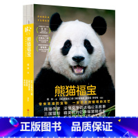 熊猫福宝 [正版]熊猫福宝