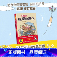 又来了! 遗憾的进化 [正版]书店又来了遗憾的进化 今泉忠明 3-6岁儿童动物科普绘本启蒙认知宝宝睡前故事熊猫绘本幼儿园