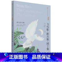 飞鸟集新月集园丁集(泰戈尔专集经典彩绘本)/美冠纯美阅读书系 [正版]飞鸟集新月集园丁集(泰戈尔专集经典彩绘本)/美冠纯