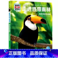 走进热带雨林 [正版]走进热带雨林