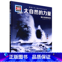 大自然的力量 [正版]大自然的力量