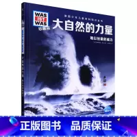 大自然的力量 [正版]大自然的力量