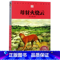 母豺火烧云(彩色插图本)/动物小说大王沈石溪品藏书系 [正版]母豺火烧云(彩色插图本)/动物小说大王沈石溪品藏书系