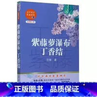 默认 一升二 [正版]紫藤萝瀑布丁香结(全新修订版)/初中语文配套阅读