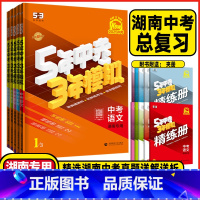 中考语数英物化共5本 湖南专用 湖南省 [正版]2025版湖南5年中考3年模拟中考语文数学英语物理化学历史道德与法治作文